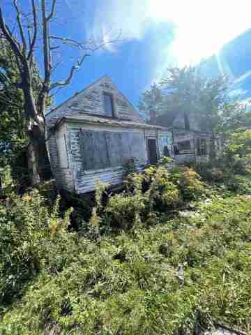 17257 bloom (15).jpg